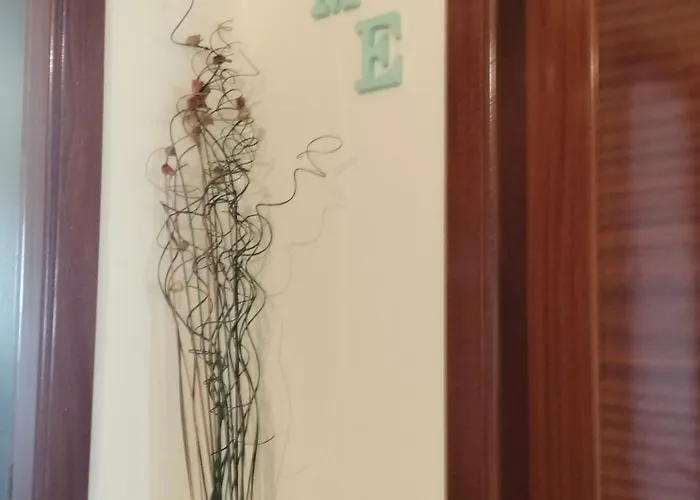 Daire L&l Livin & Live *